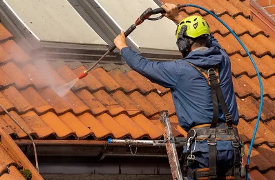 Démoussage et hydrofuge de toiture à Lavau